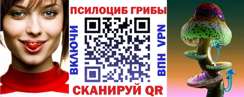 Галлюциногенные грибы Psilocybine cubensis  Комсомольск-на-Амуре 